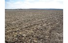 Property photo 7 - 127 Acres Offered in 4 Tracts